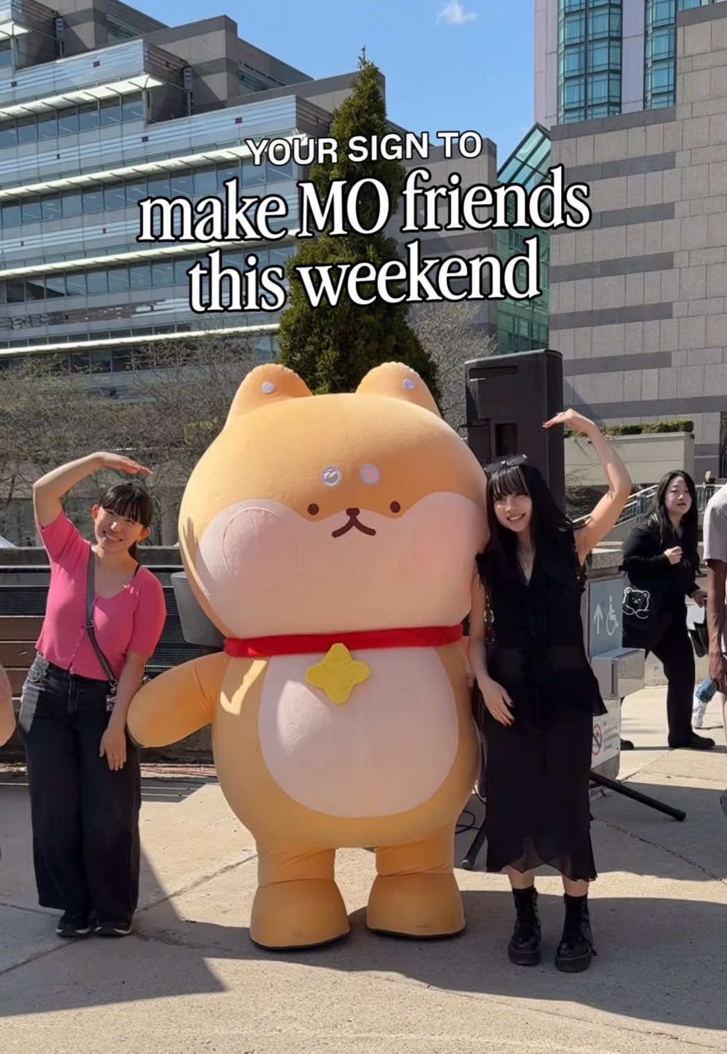 @sukoshi