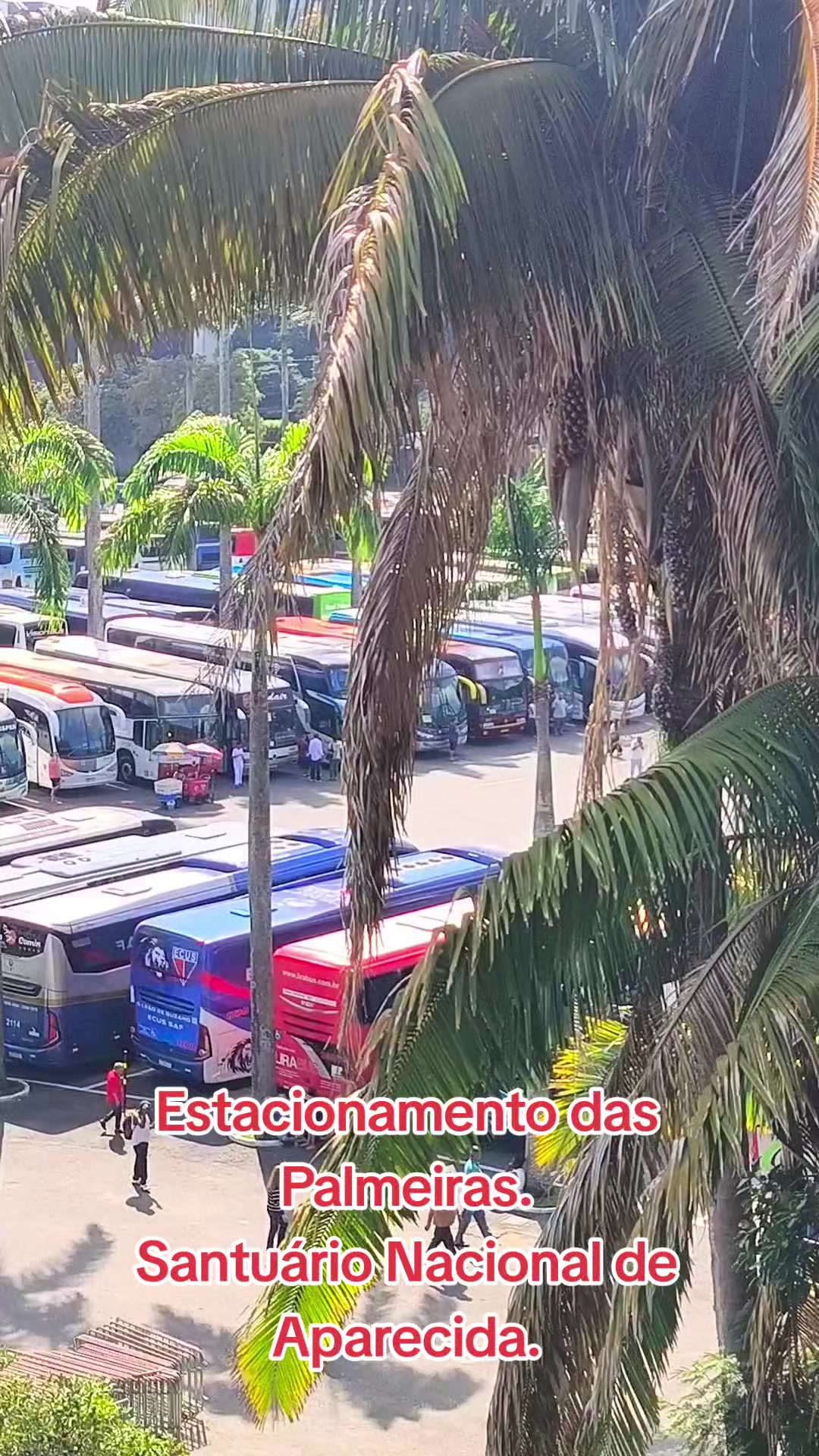 @ᴇᴅɪʟꜱᴏɴ ᴠɪᴅᴇᴏ ʙᴜꜱ🚍