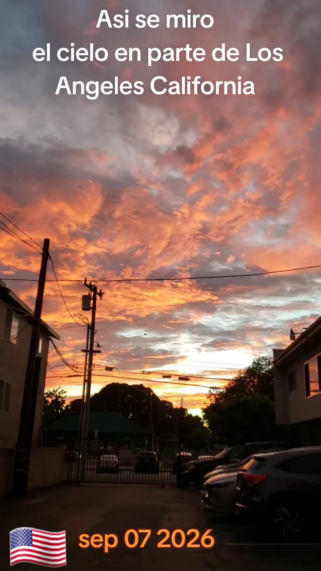 @Jugogarcía♤