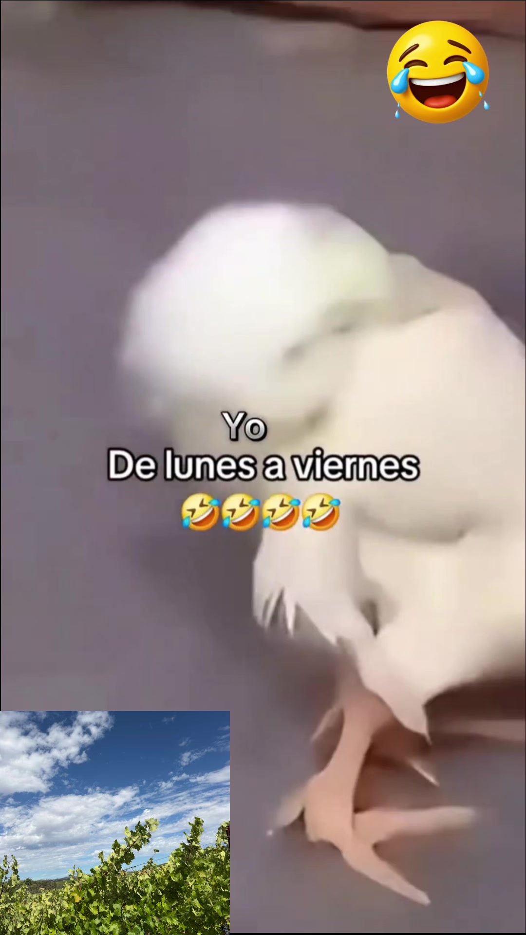 @Sandra Santiago