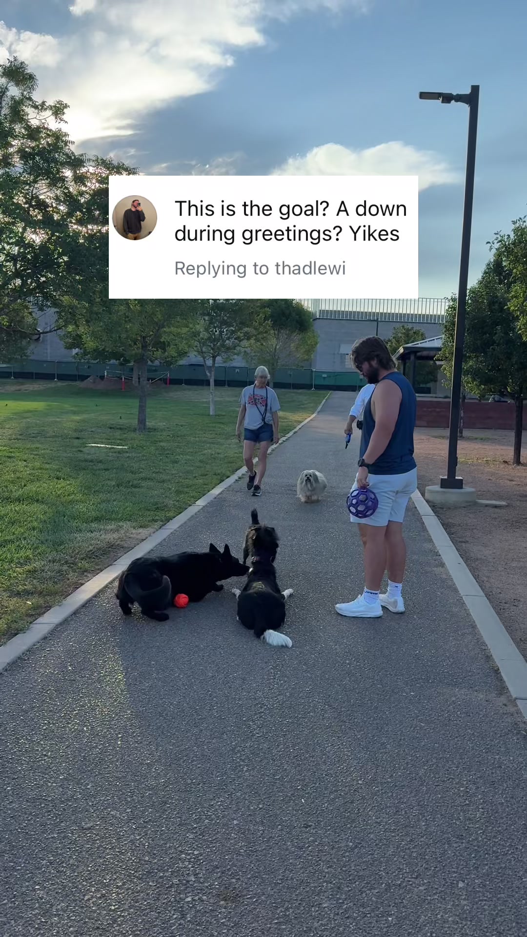 @forthedogs