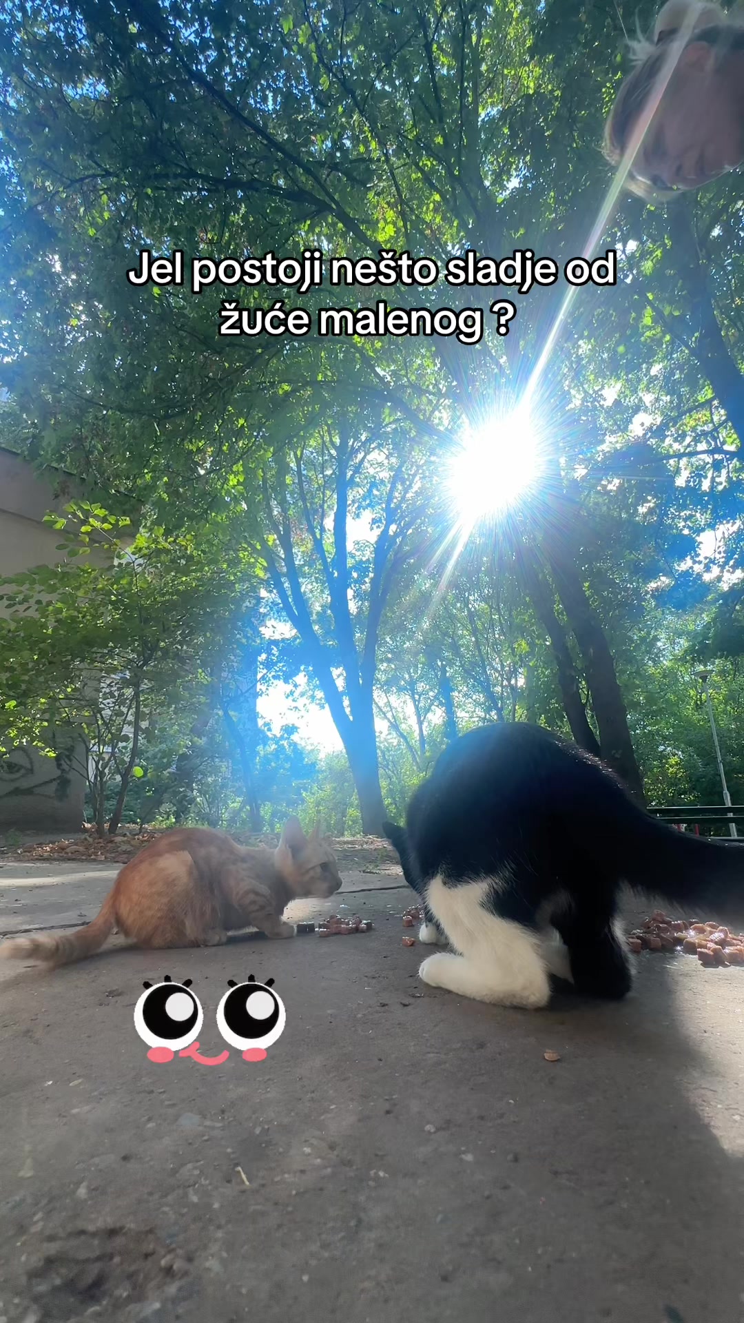 @cosanostrapurr