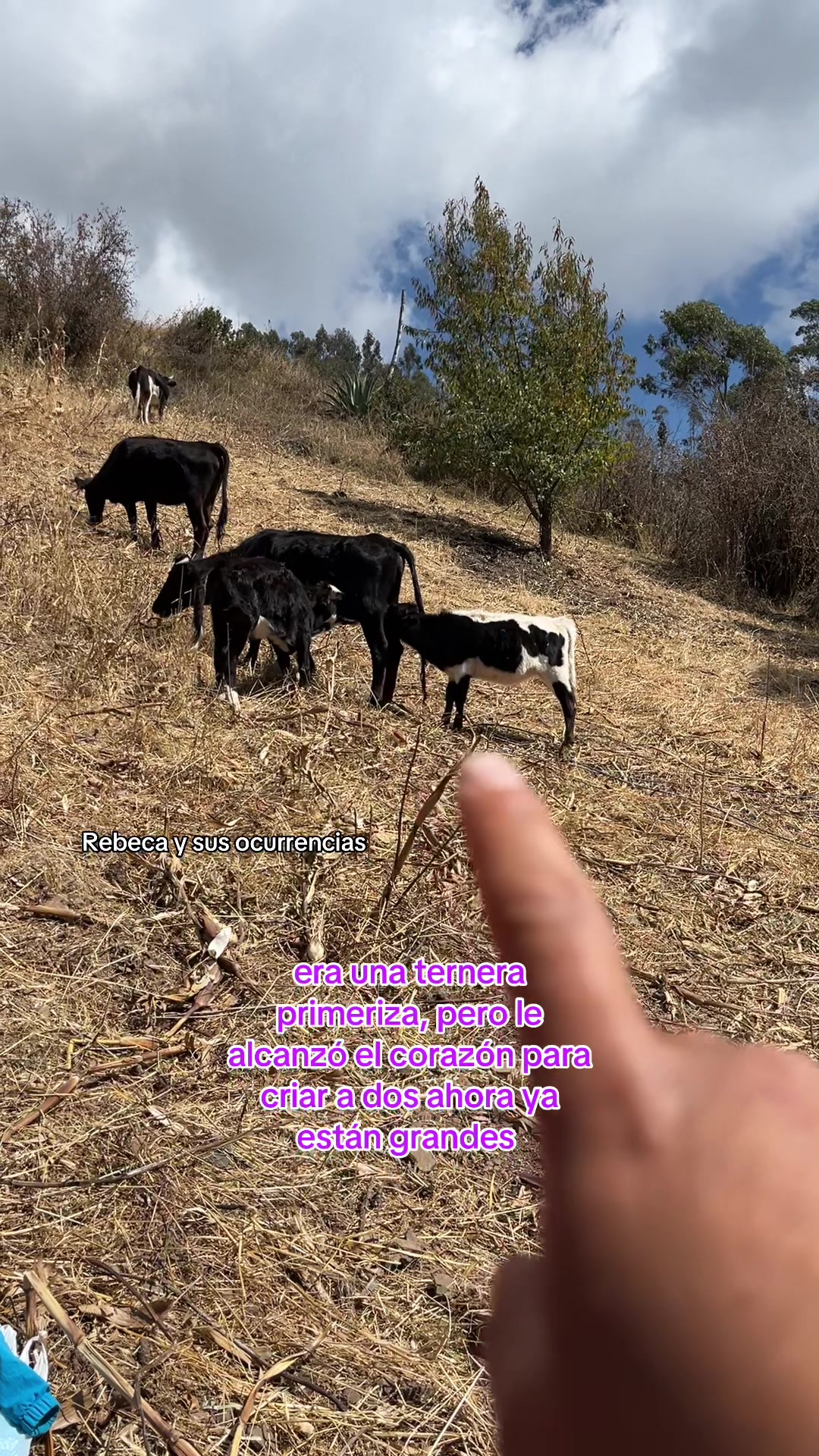 @🐈Rebeca y sus ocurrencias