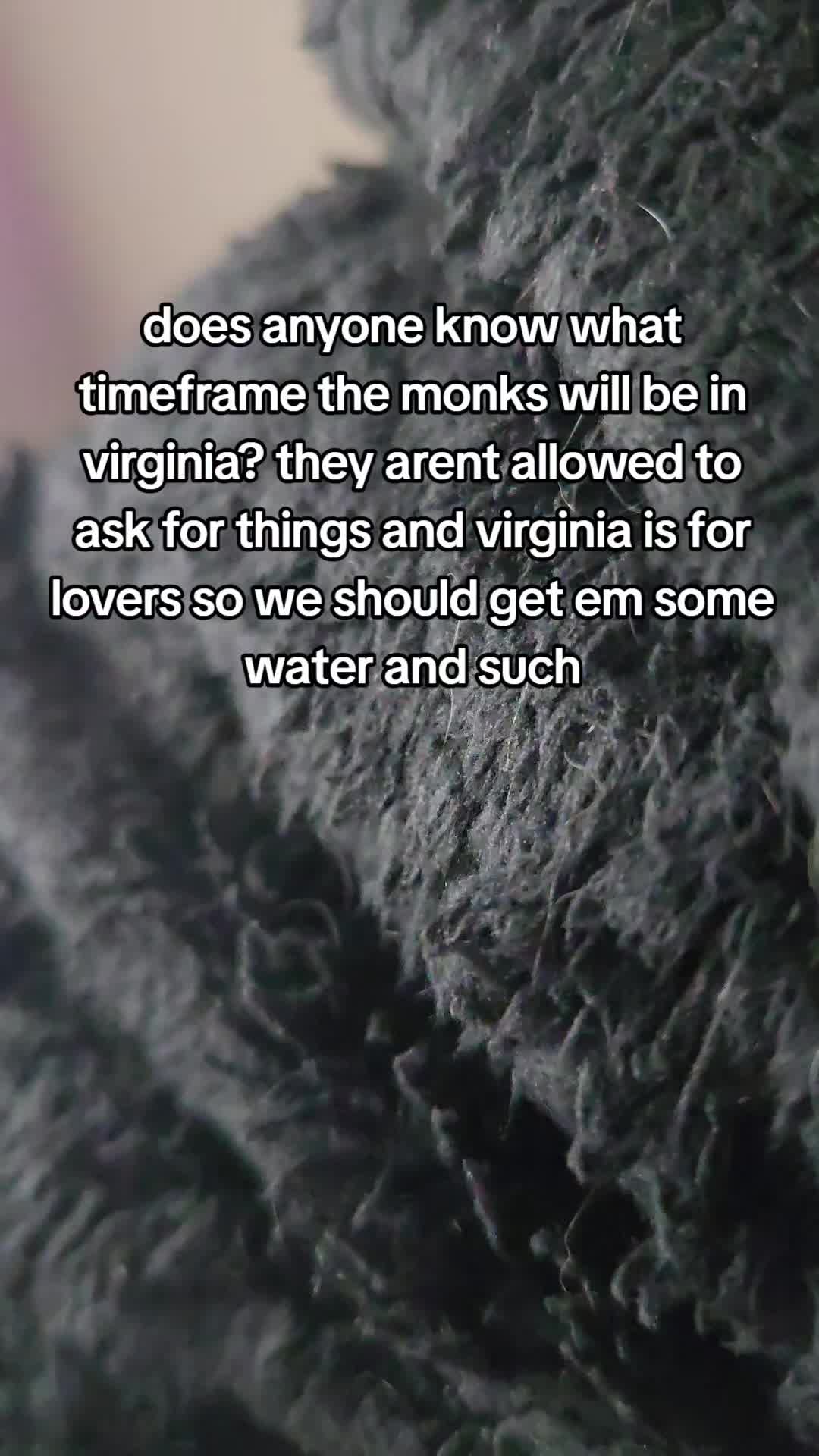 @PoochSnooch