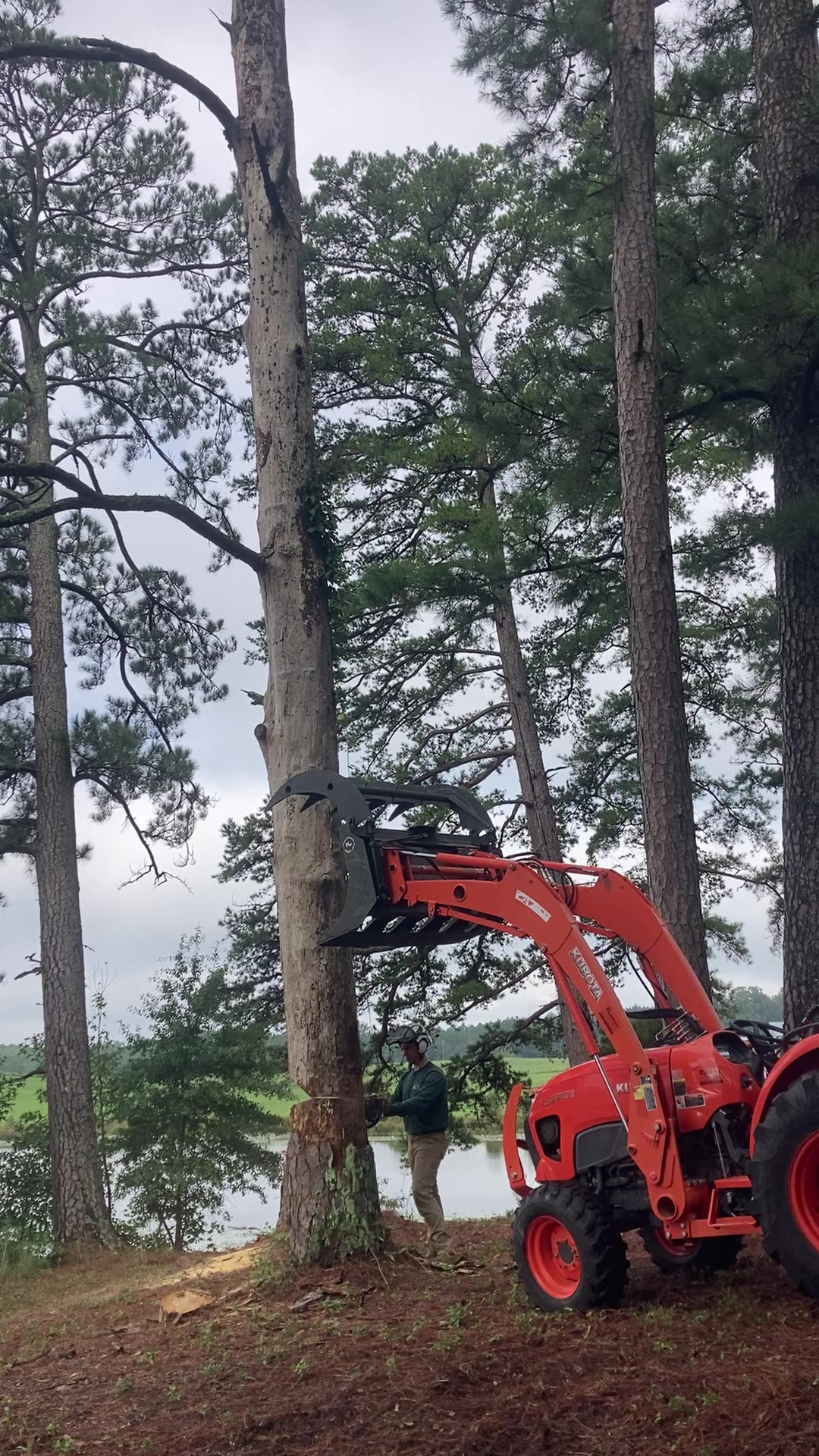 @The Tree Assassins