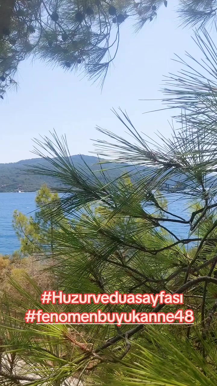 @Fenomenbuyukanne48