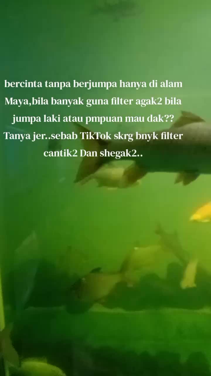 @mawarbiru