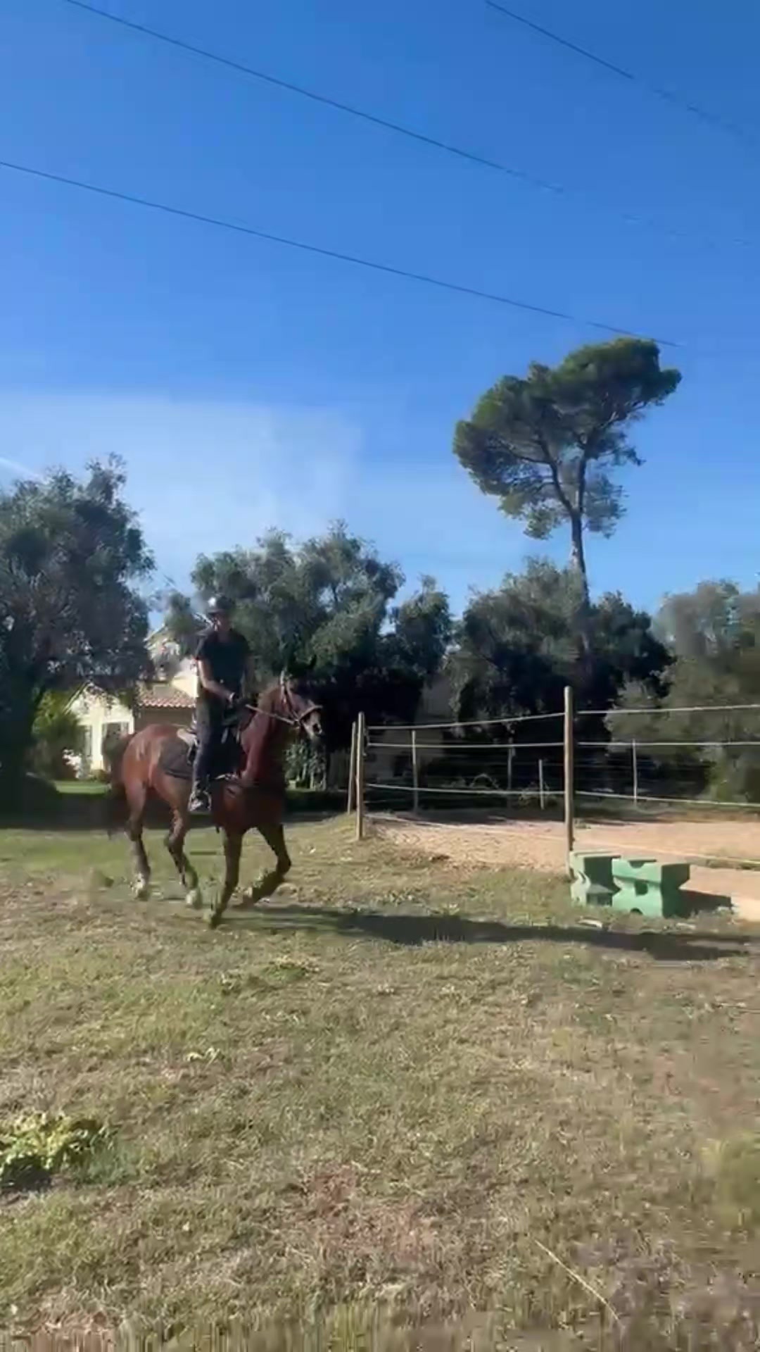 @haras de castille