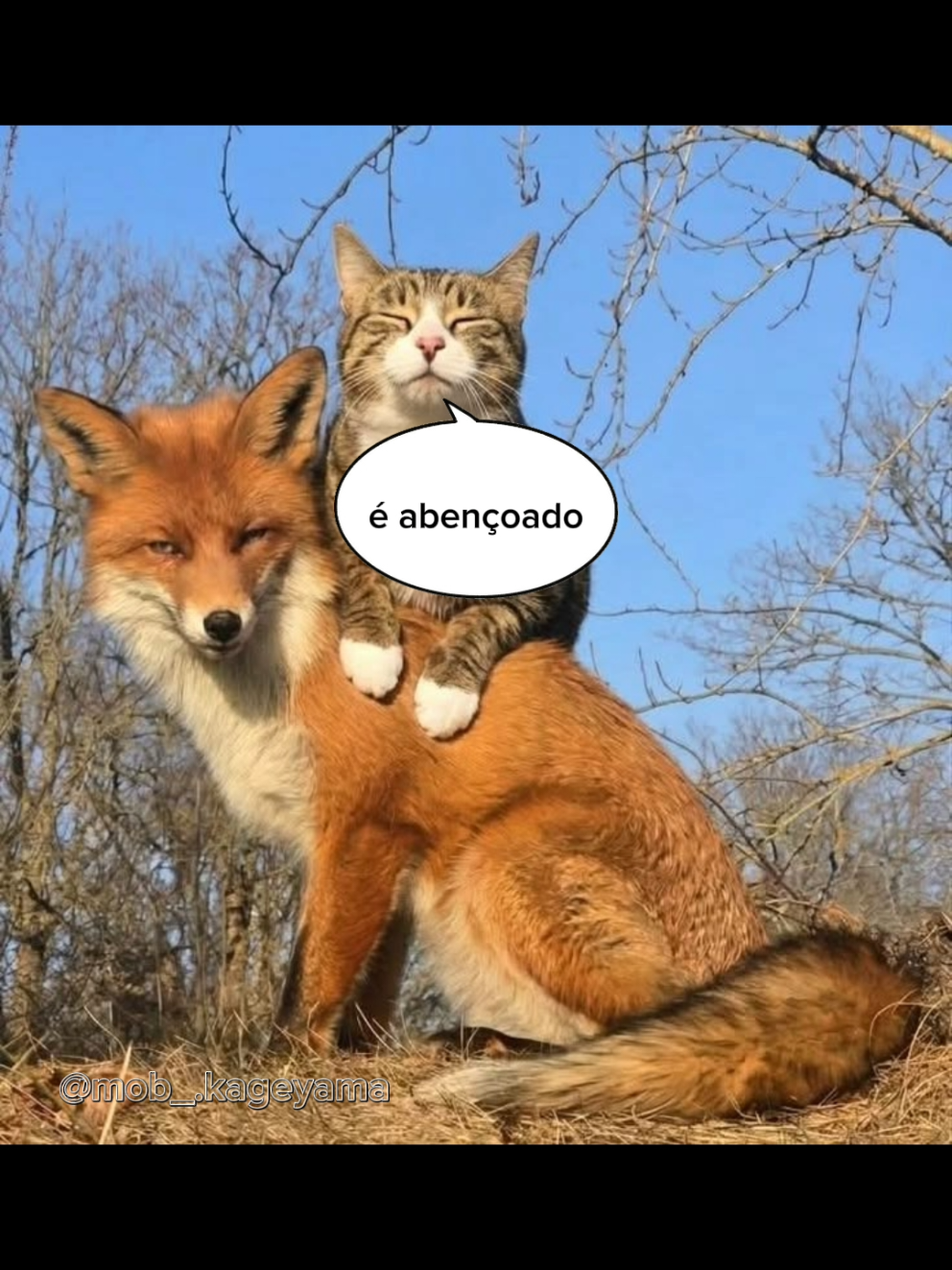 @Shigeo
