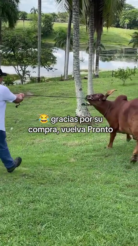 @Alexander Pacheco