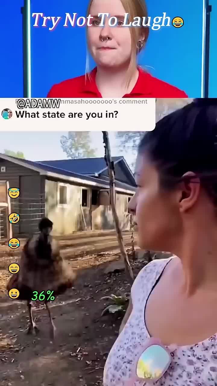 @uk funny