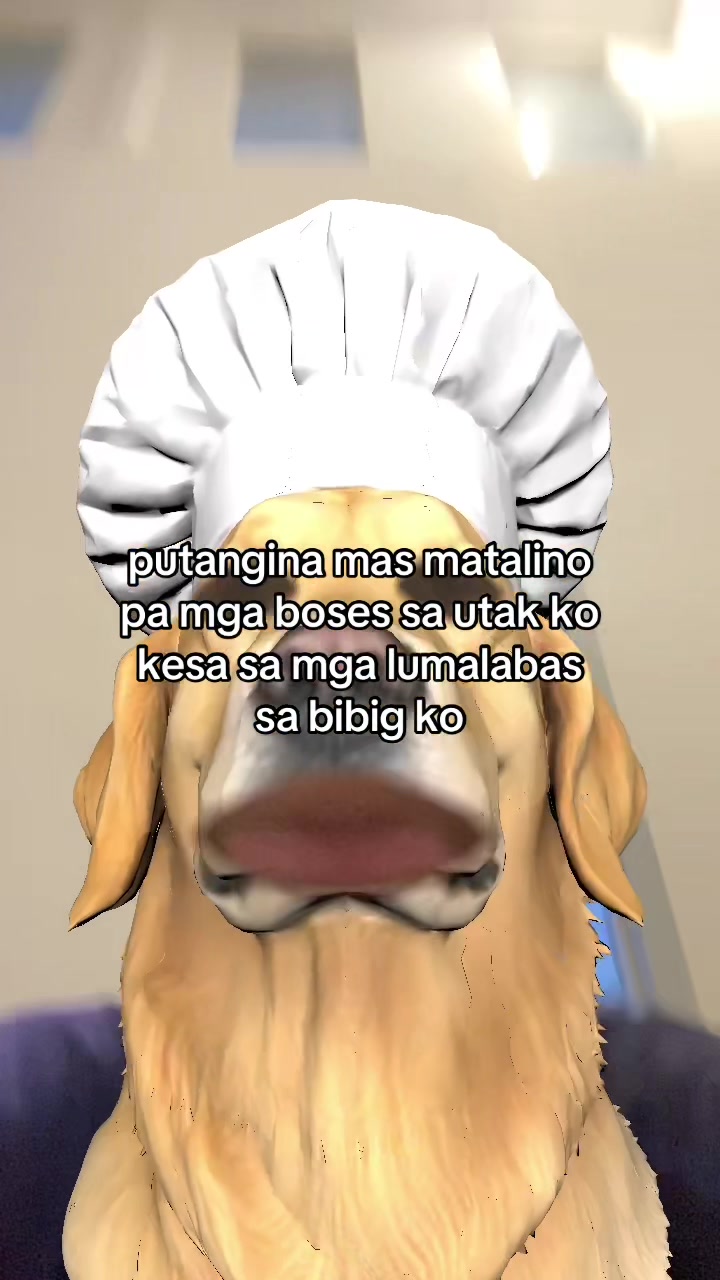 @Joshxh