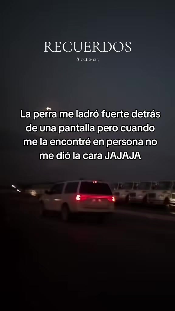 @vecky