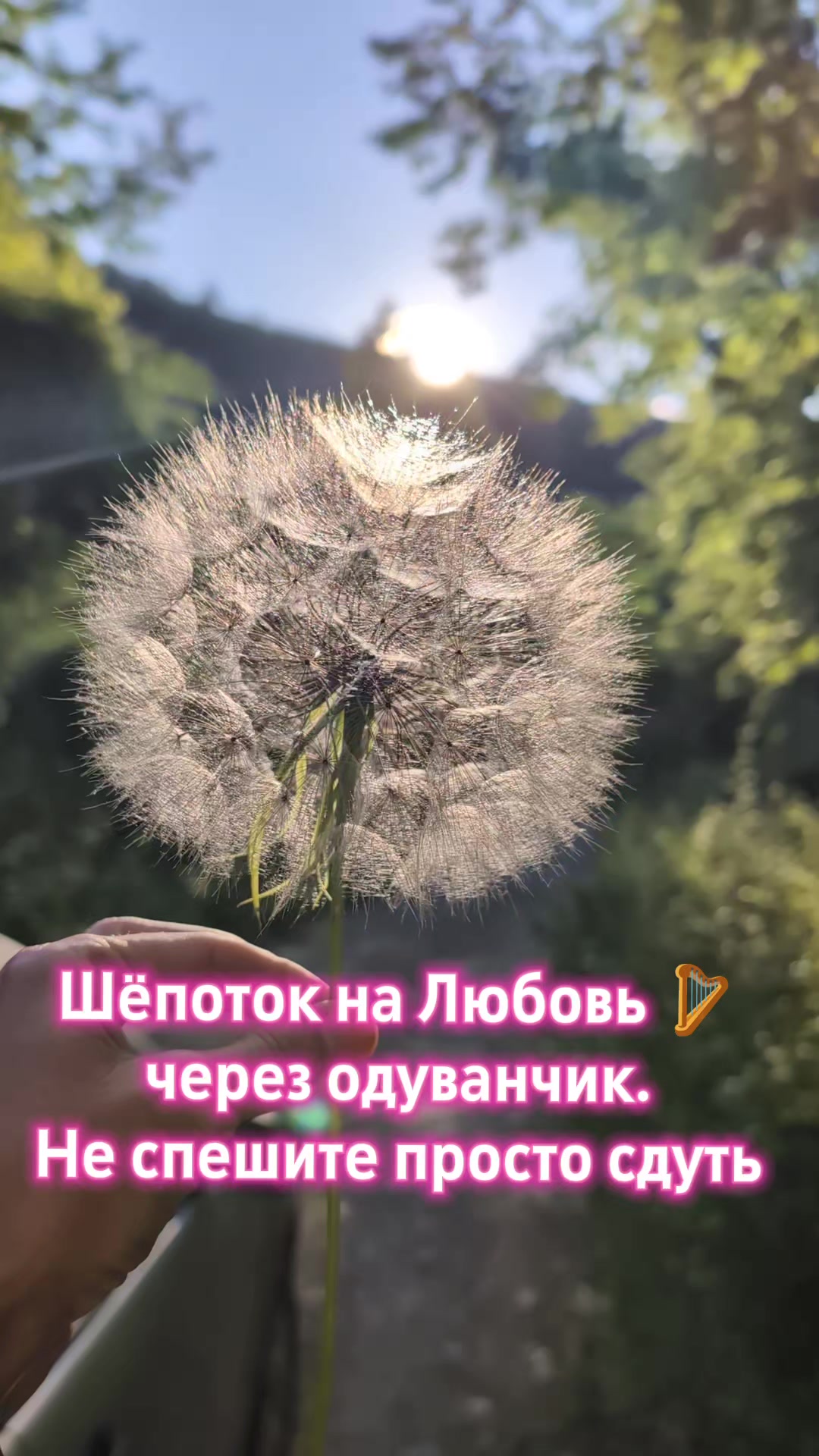 @Грани Реальности