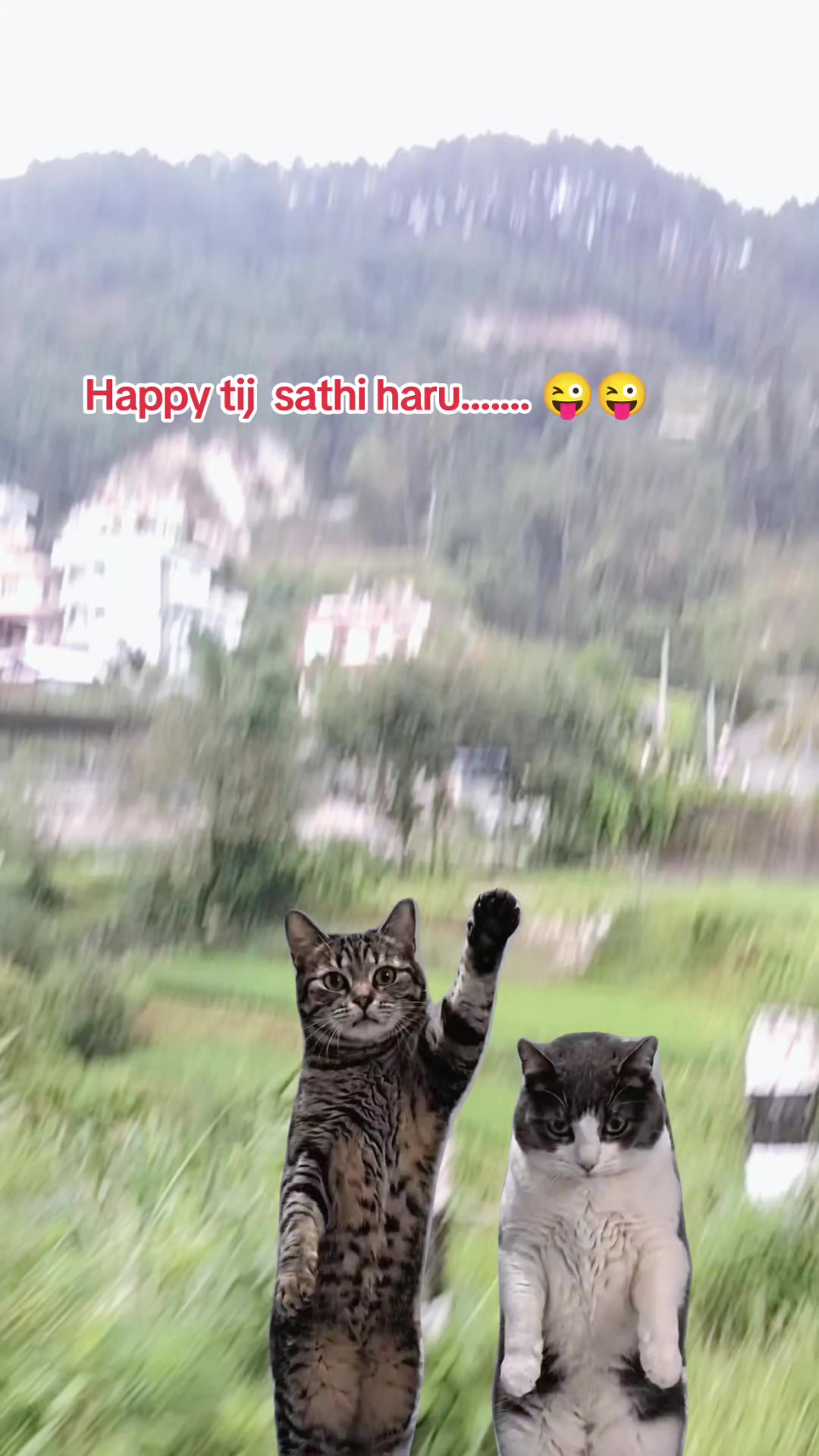 @Mr. N🇳🇵
