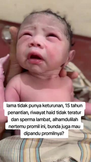 @inspirasi.program.hamil