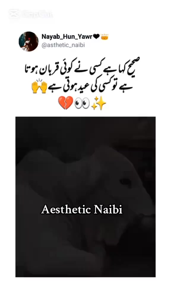 @Nayab_Hun_Yawr🖤👑