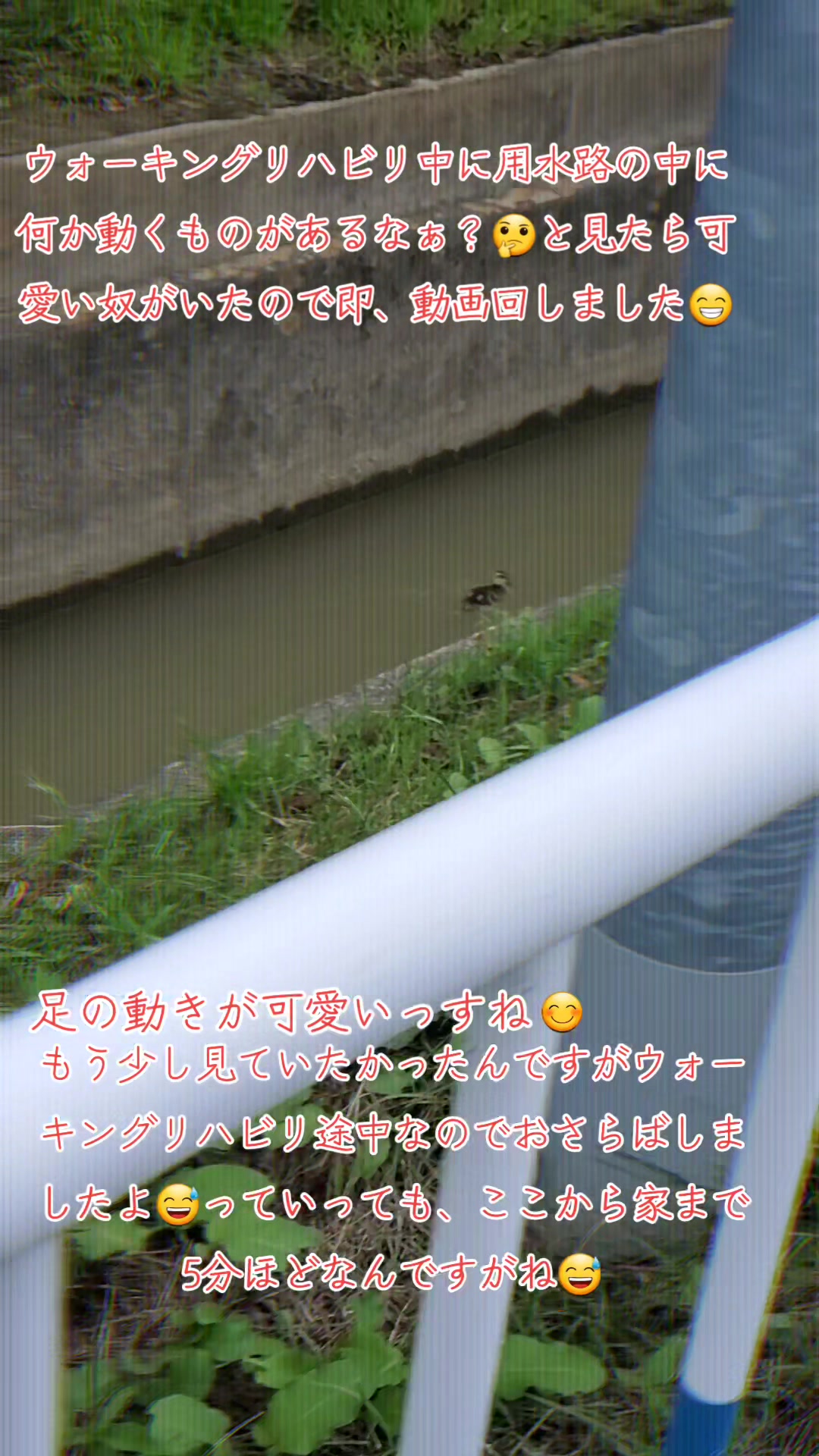 @TAKU