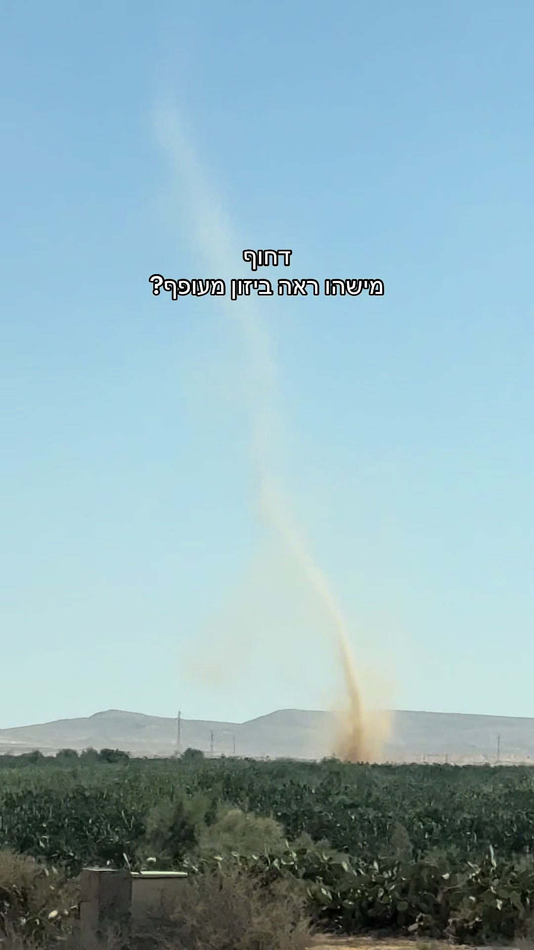 @Naama Shtein - נעמה שטיין