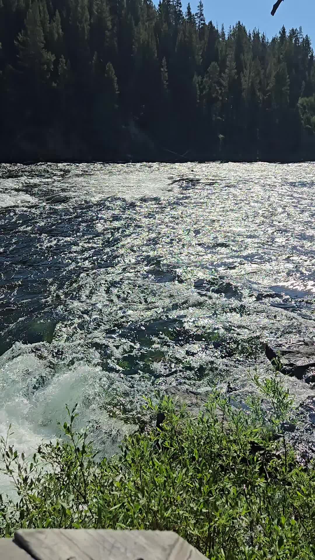 @Tina72🤙