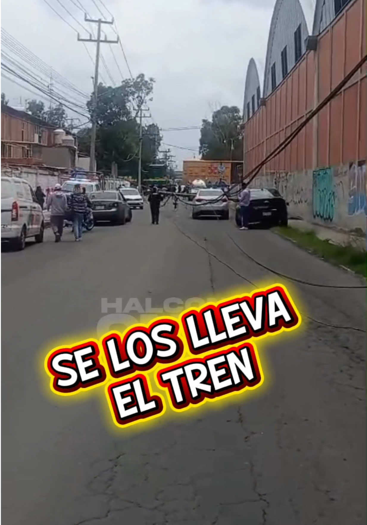 @HalconOnce