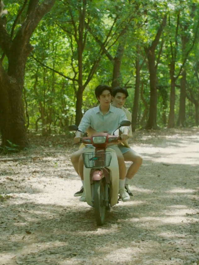 @⋆ 𐙚 ˚✮⋆˙Âlvîñá ᥫ᭡