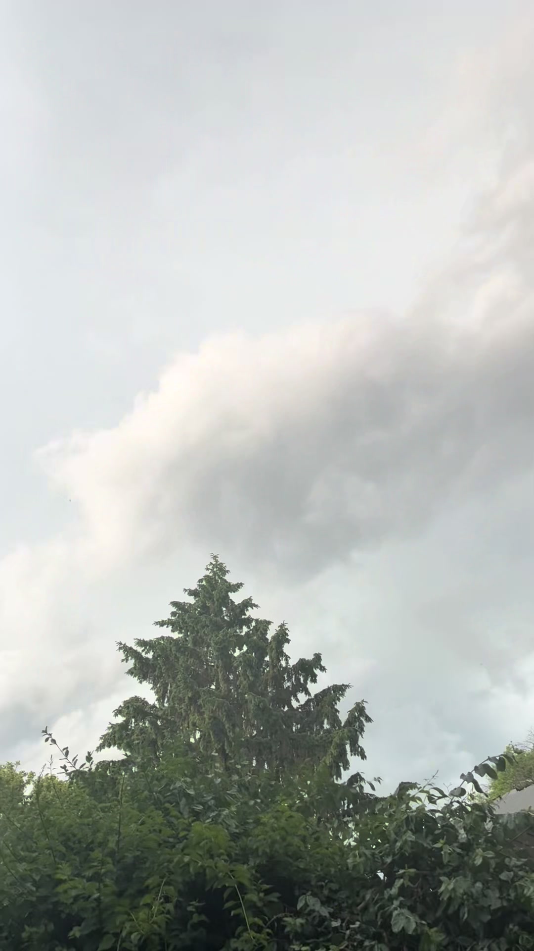 @Ladyicis1