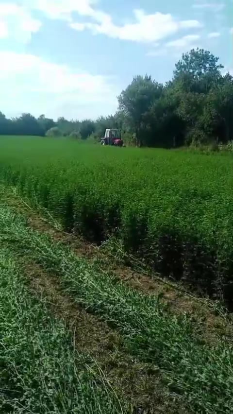 @Rašo