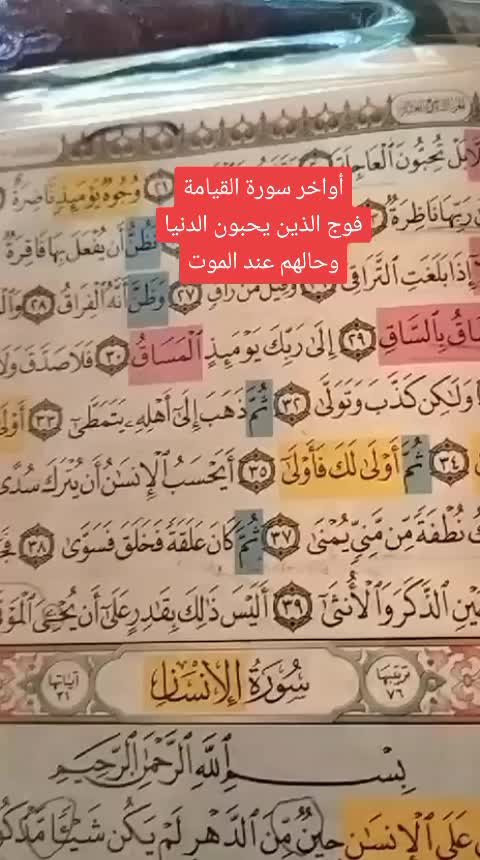 @Fadwa wawi