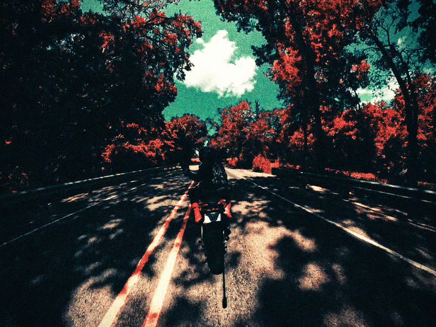 @killah1919