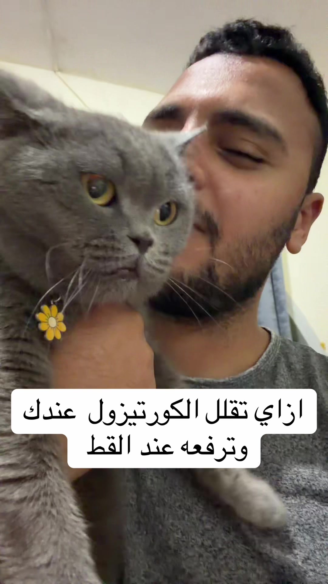 @Dr Waliid Shamhot