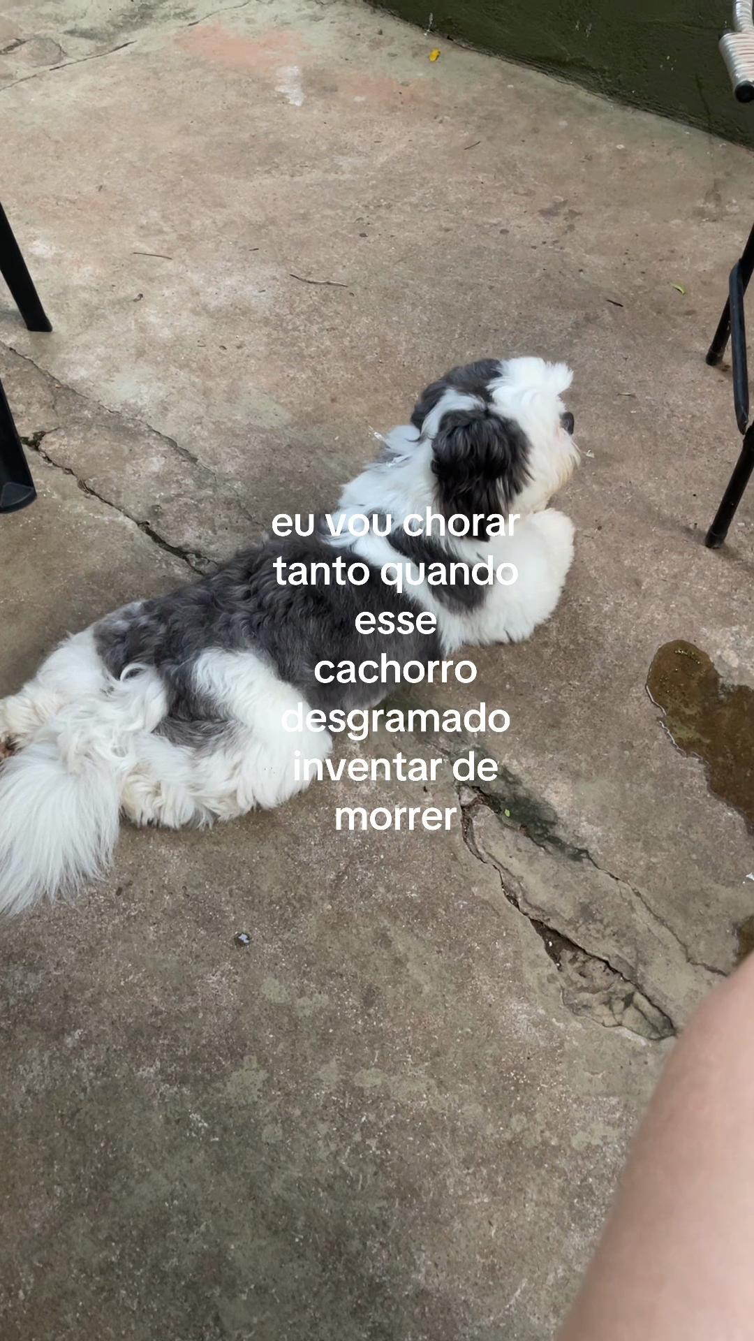 @maria gema