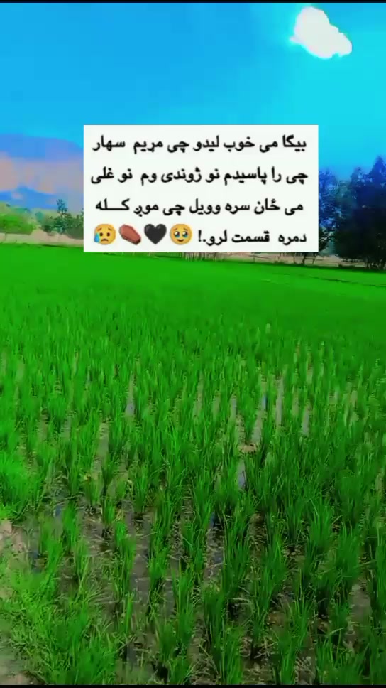 @♛𝐆𝐡𝐚𝑚𝑗𝐚𝑛😌𝐇𝐚𝐥𝐚𝐤♛