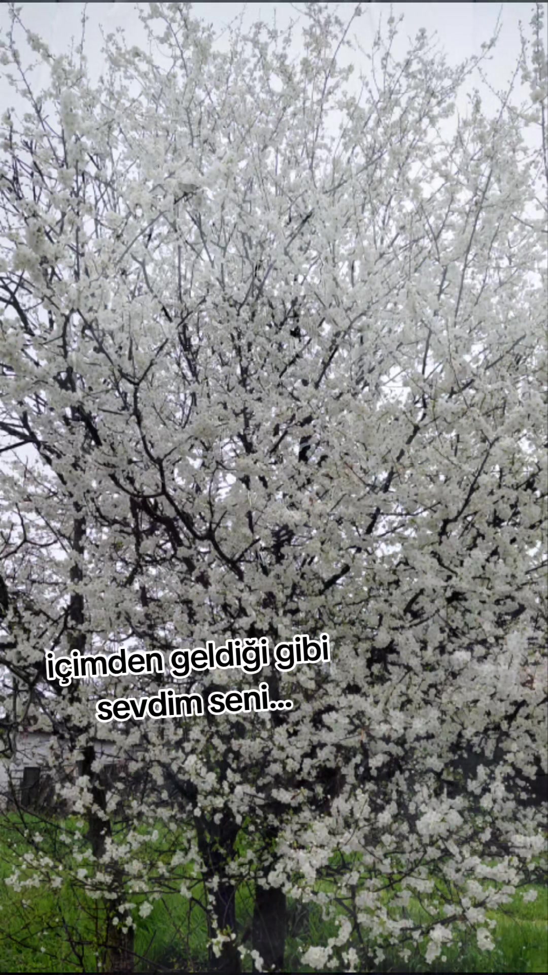 @tuğ&ccedil;e