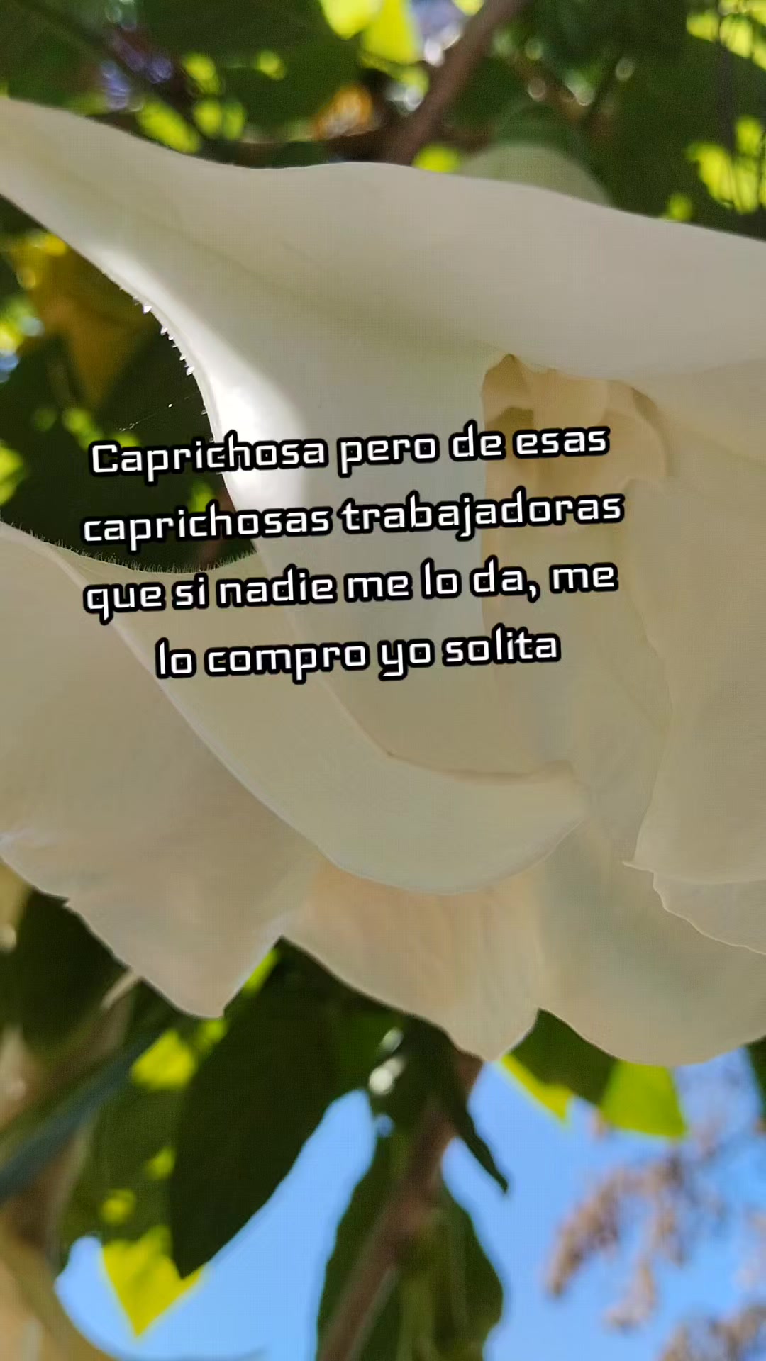@DiiaNiitha🍀
