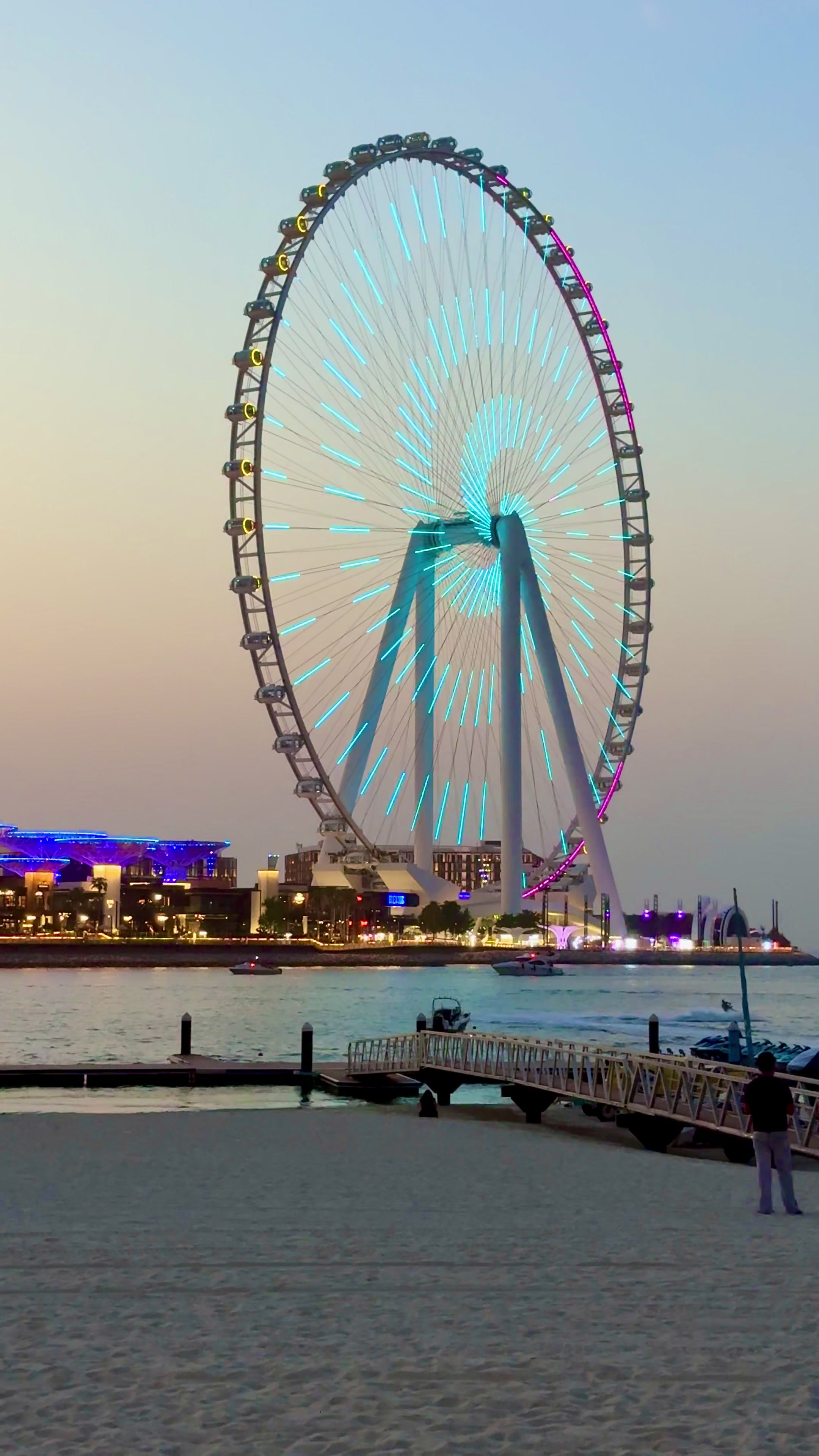 @UAE_Falcon