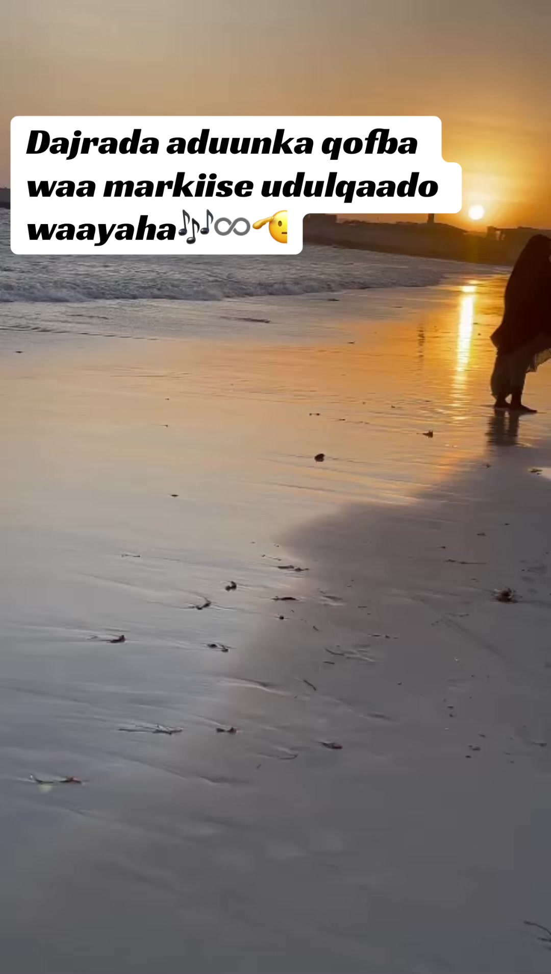@Xamda02