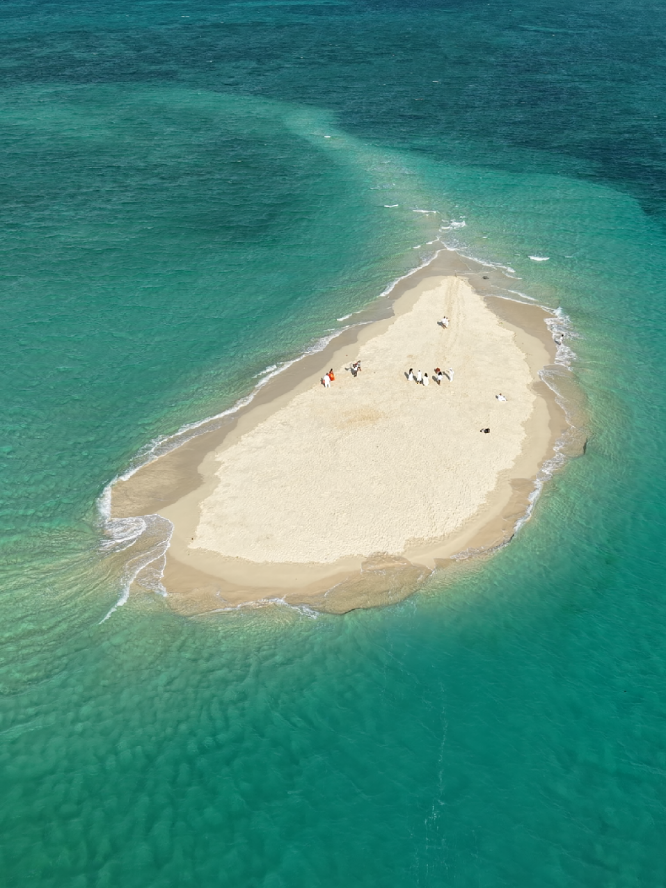 @ZANZIBAR