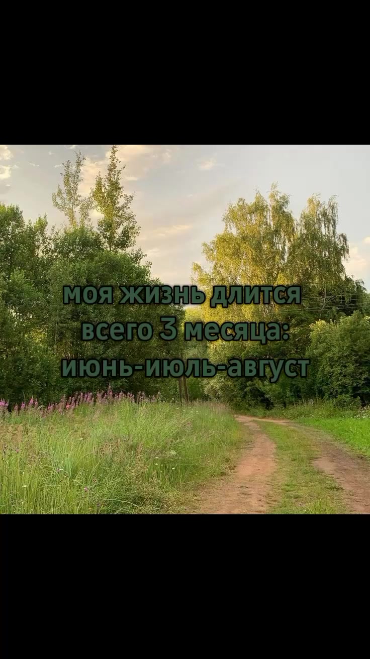 @🌾϶ᴧьɸ ᴧᴇᴛᴀ🍄