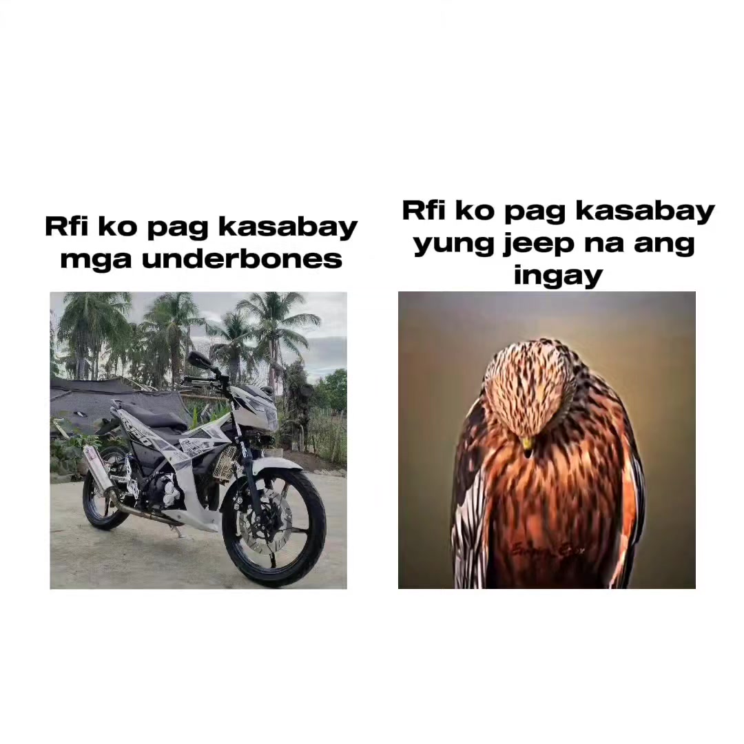 @K O C H O