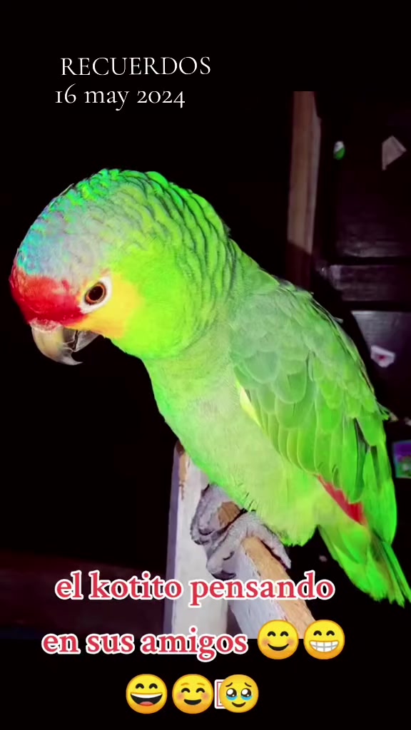 @𝙈𝙚𝙧𝙮 _4010