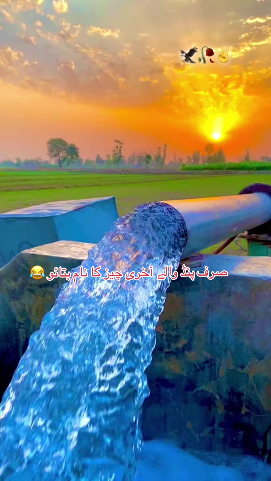 @میرا_سوہنڑا_پنڈ_مٹھہ لک 🔥