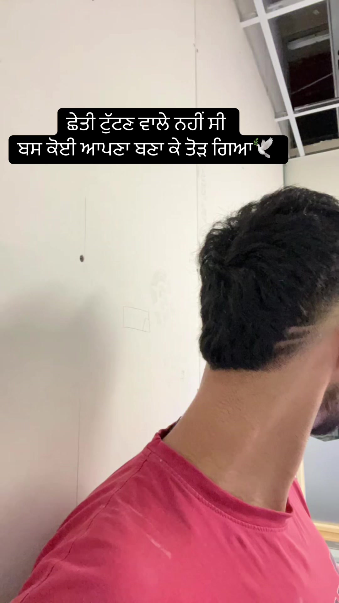@iprabhsekhon 🧛