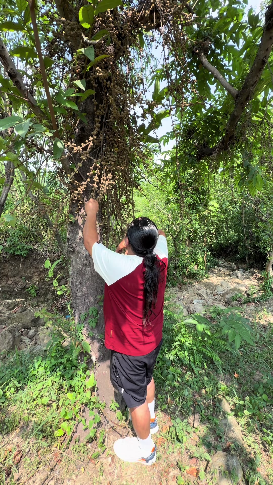 @ganesh sapkota