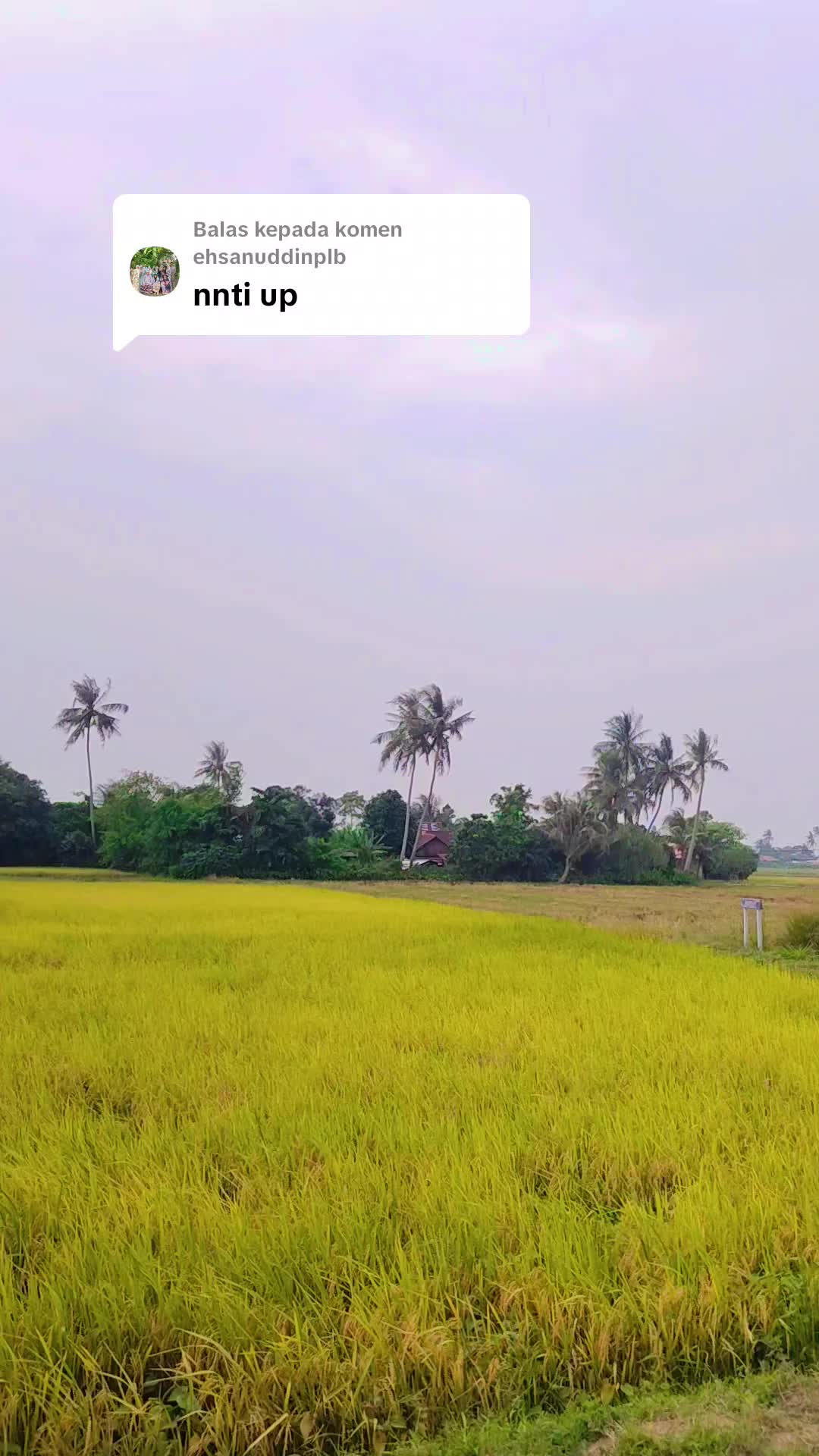 @FARISPAUPANAS
