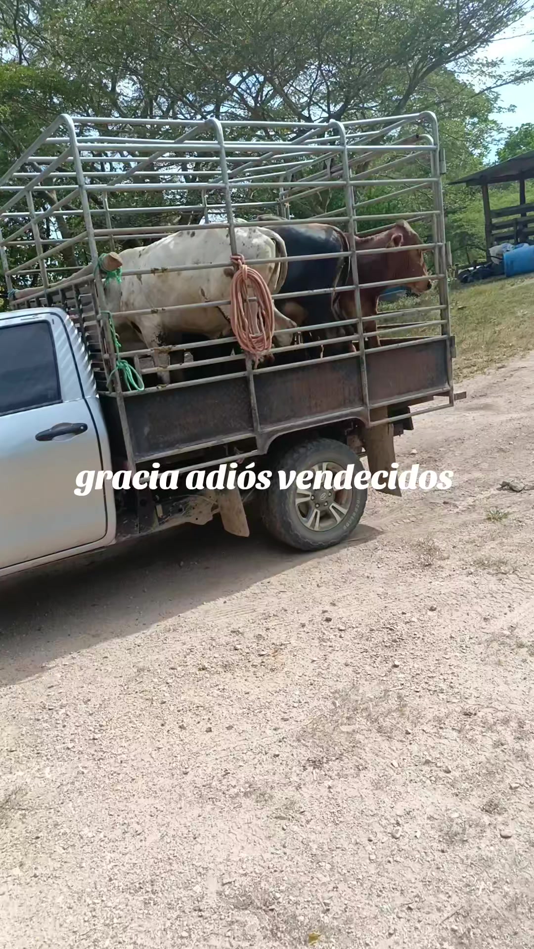 @maykel Mej&iacute;a
