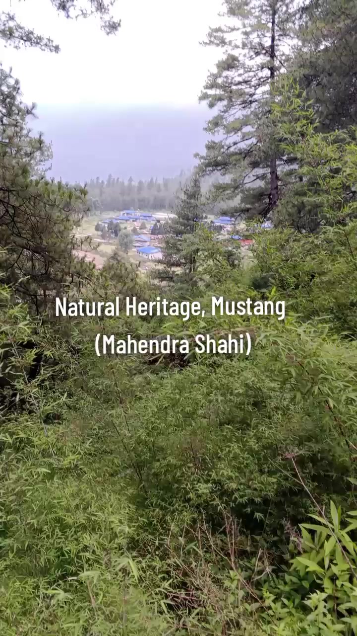 @महेन्द्र शाही