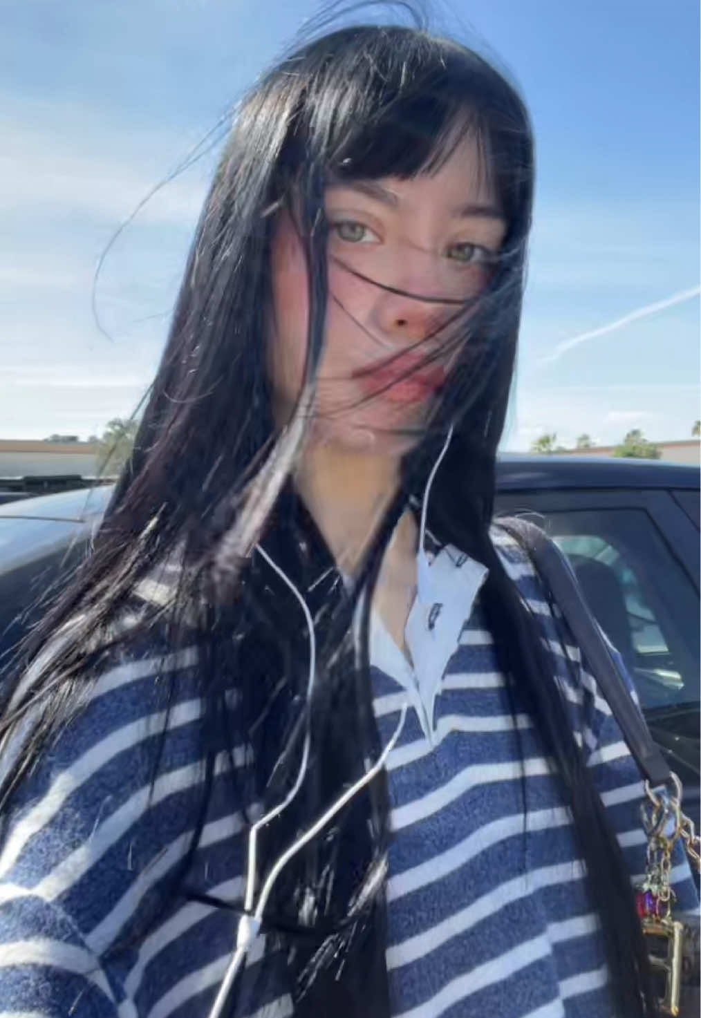 @briannademele