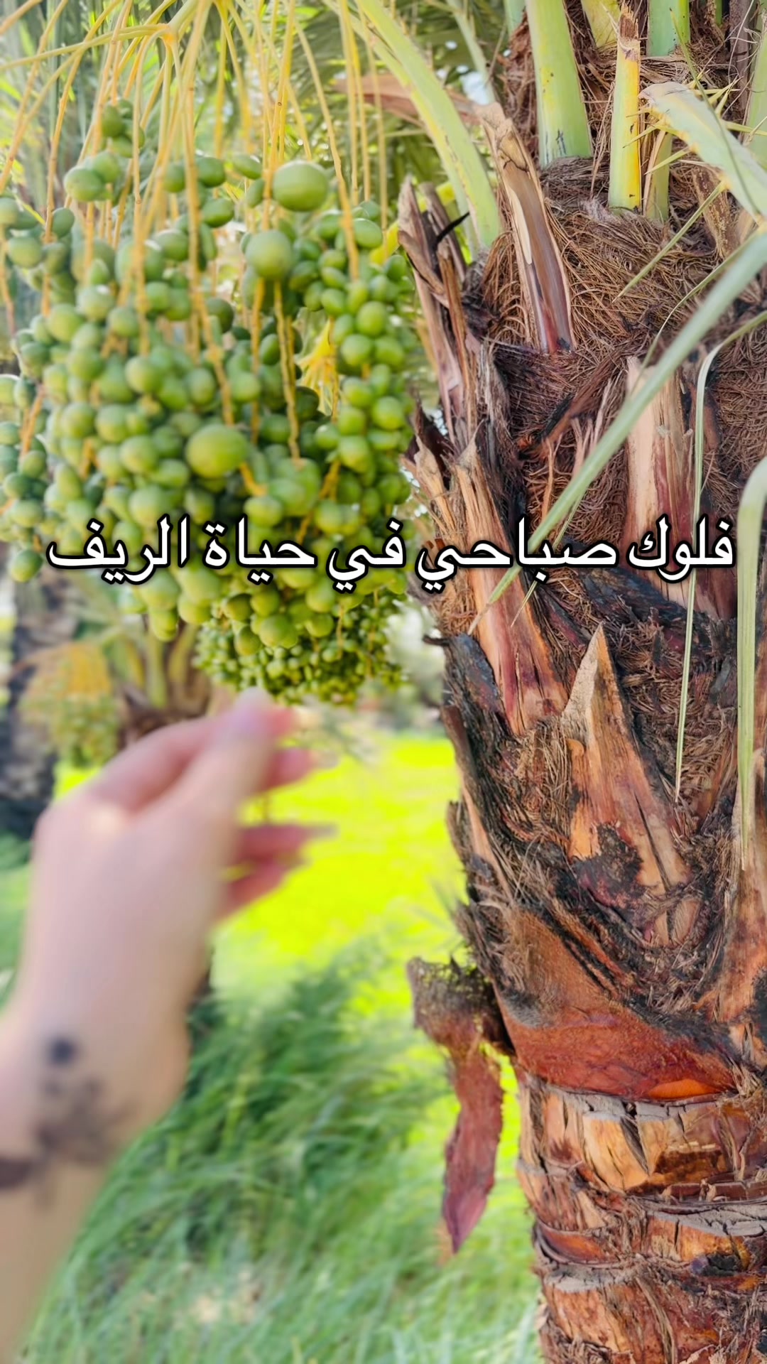 @كوكه🐆💎