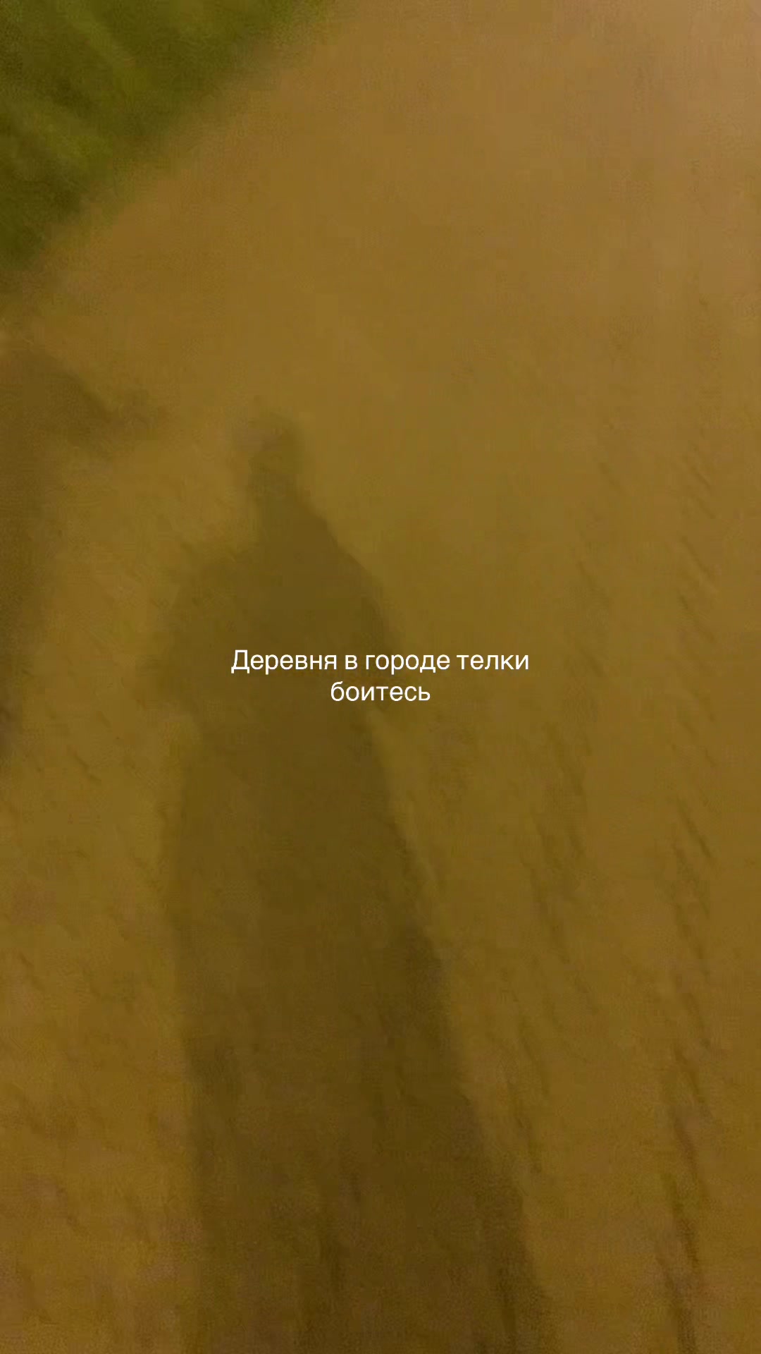 @Truecryman